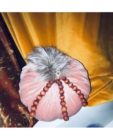 Σάπιο Μήλο Διακοσμητική Κολοκύθα